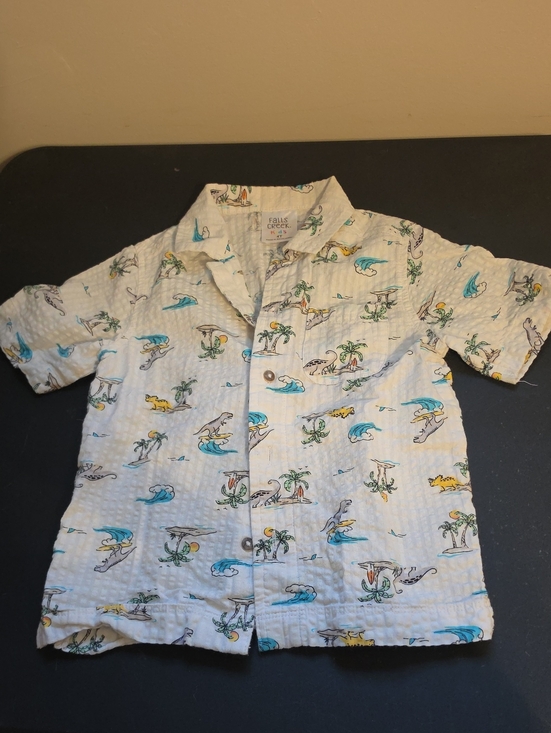 Falls Creek Other - Falls Creek Boys Short Sleeve Button Down Top. In EUC